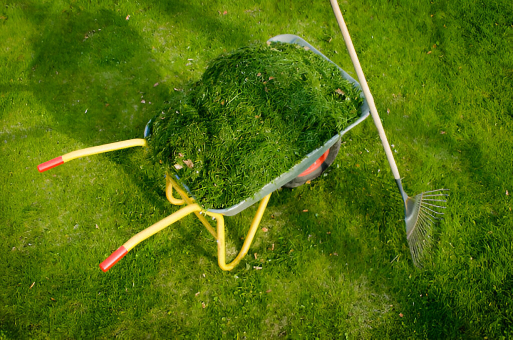13 Amazing Things You Can Do With Grass Clippings – Image 3