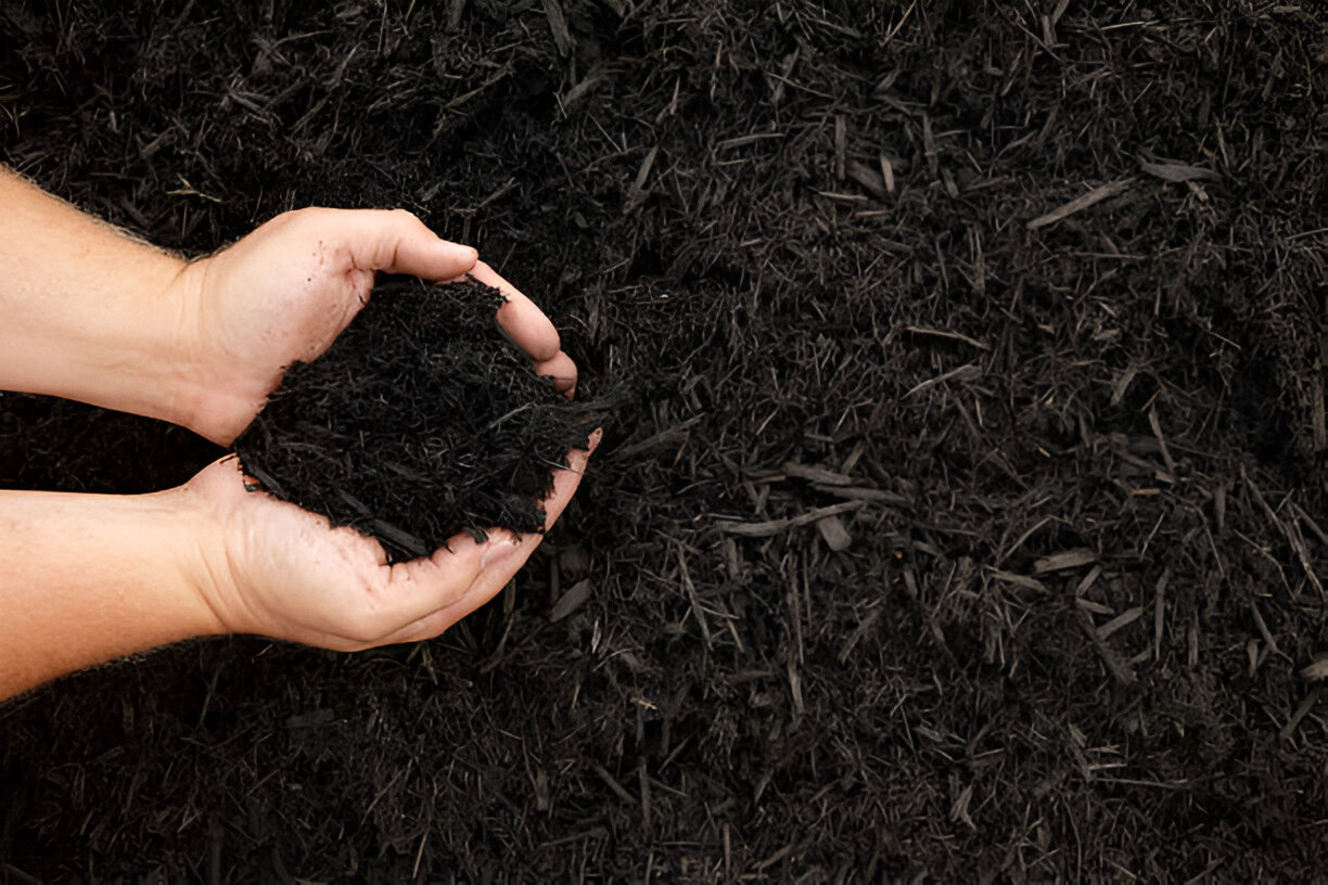 13 Amazing Things You Can Do With Grass Clippings – Image 5