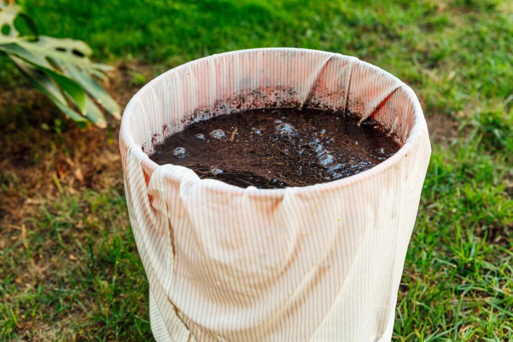 13 Amazing Things You Can Do With Grass Clippings – Image 9