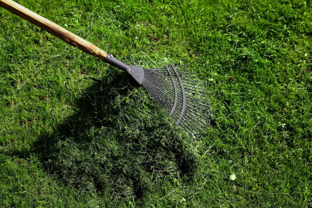 13 Amazing Things You Can Do With Grass Clippings – Image 13