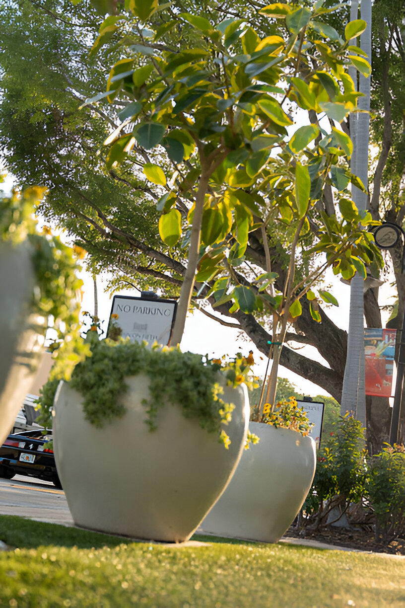 17 Best Barriers To Keep Cars Off Grass (Practical & Stylish Ideas) – Image 7