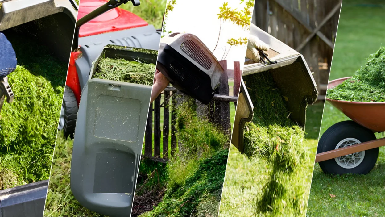 Amazing Things You Can Do With Grass Clippings
