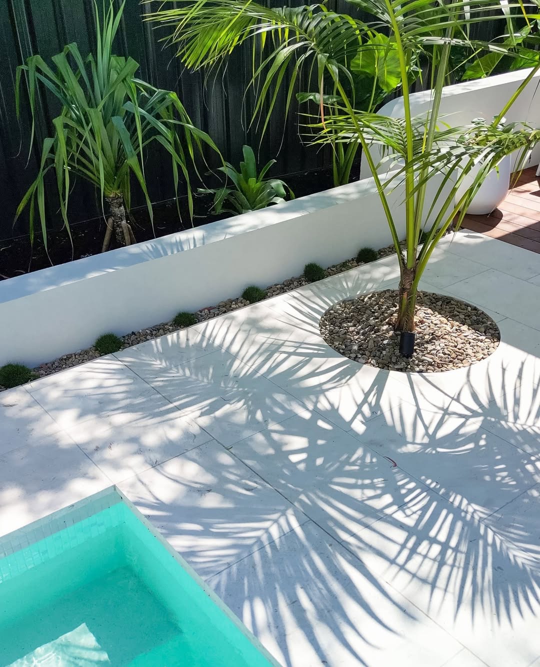 21 Stunning Plants Around the Pool for Every Backyard – Image 13