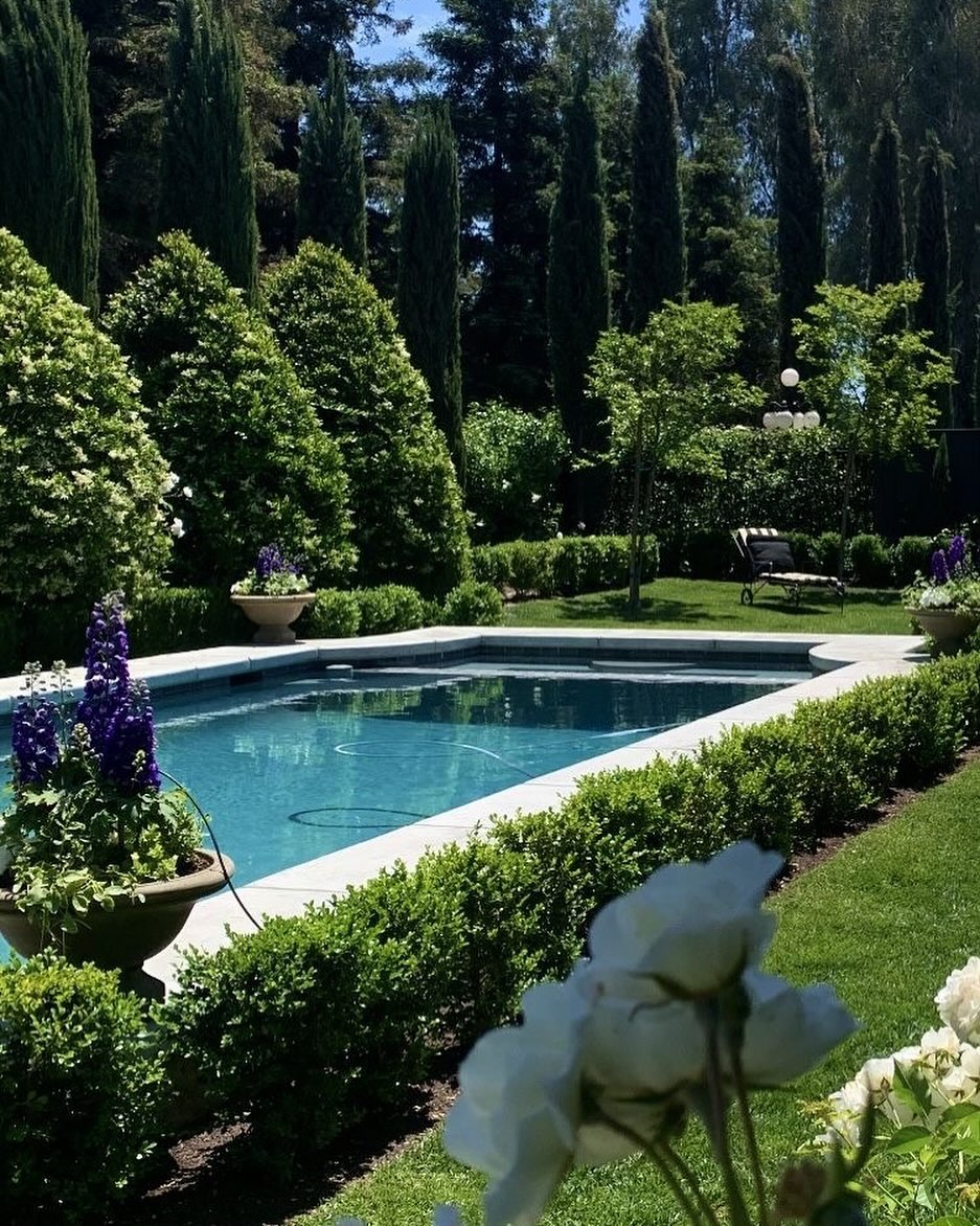 21 Stunning Plants Around the Pool for Every Backyard – Image 21