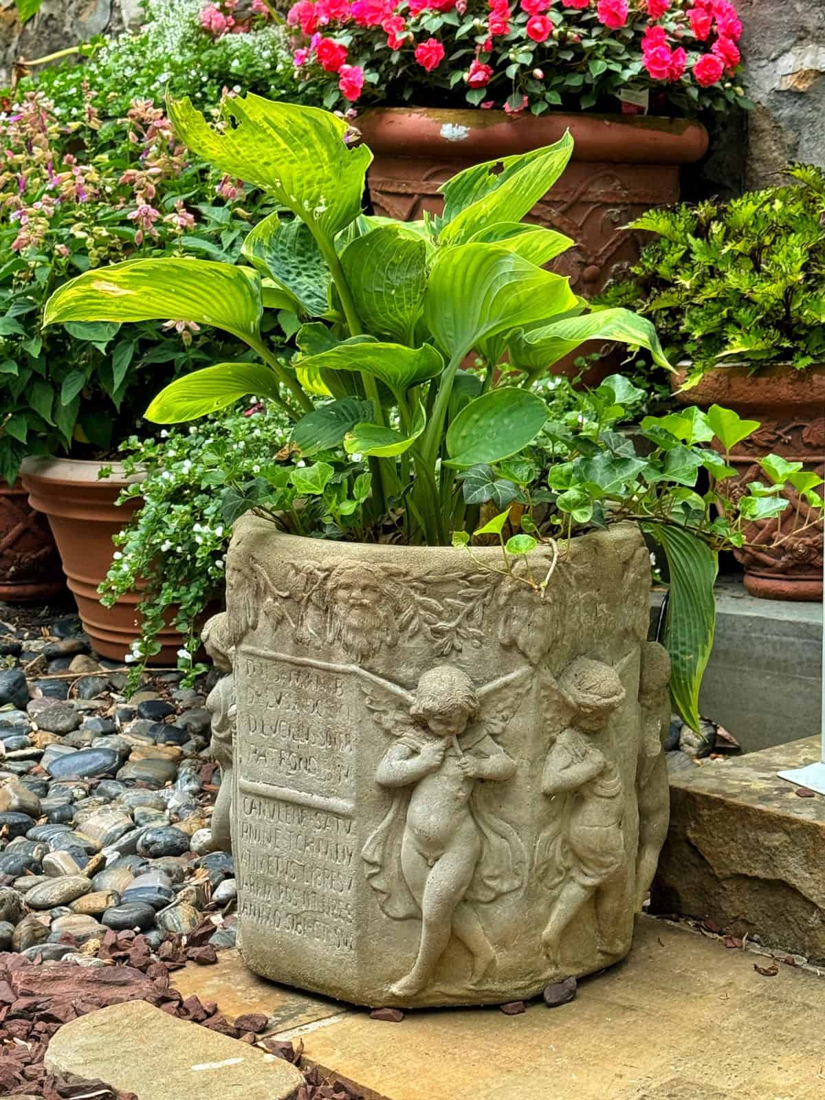 18 Best Potted Plants For Porch – (Shaded And Full Sun) – Image 9