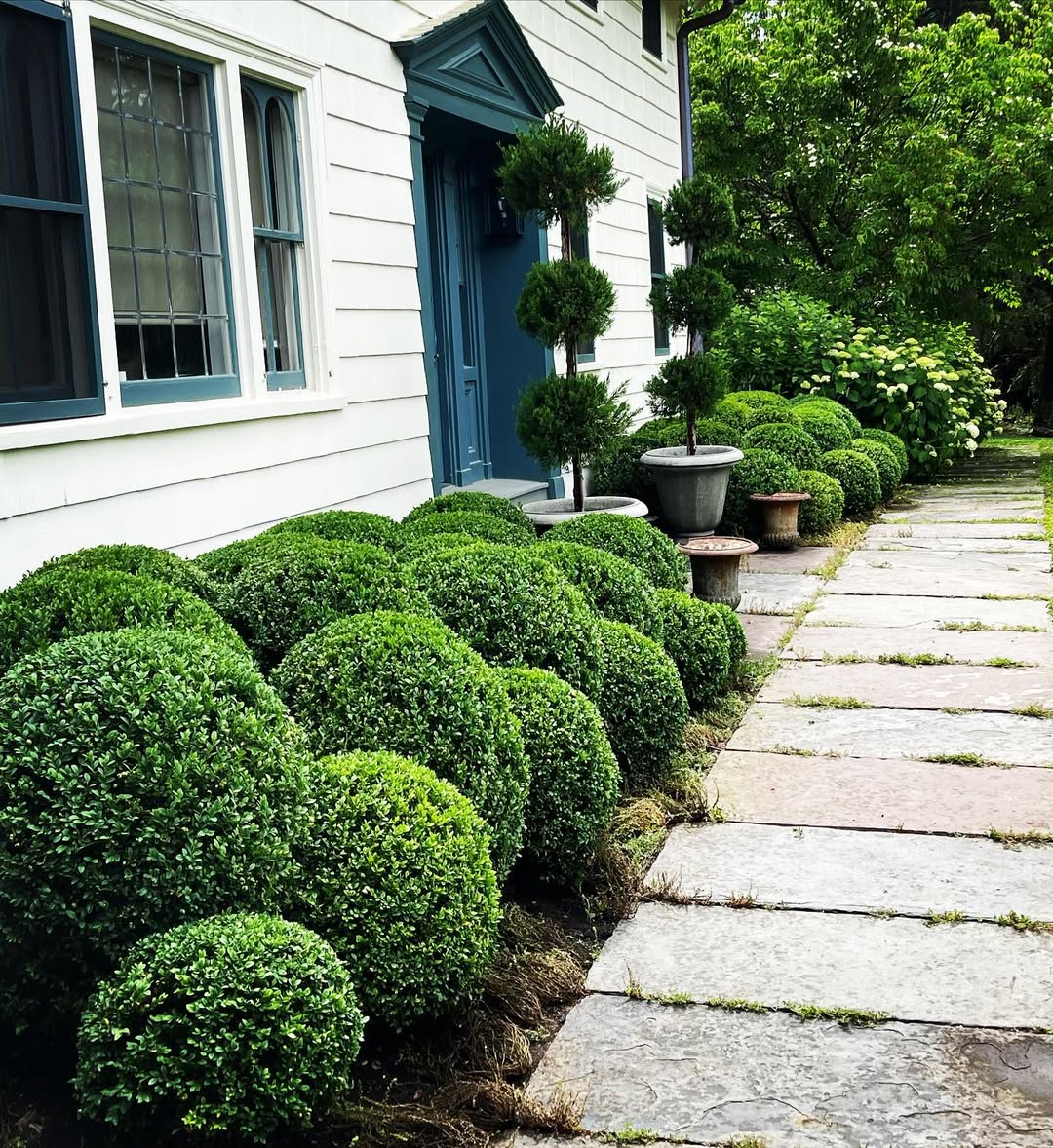 18 Best Shrubs for Front of House to Instantly Boost Curb Appeal – Image 3