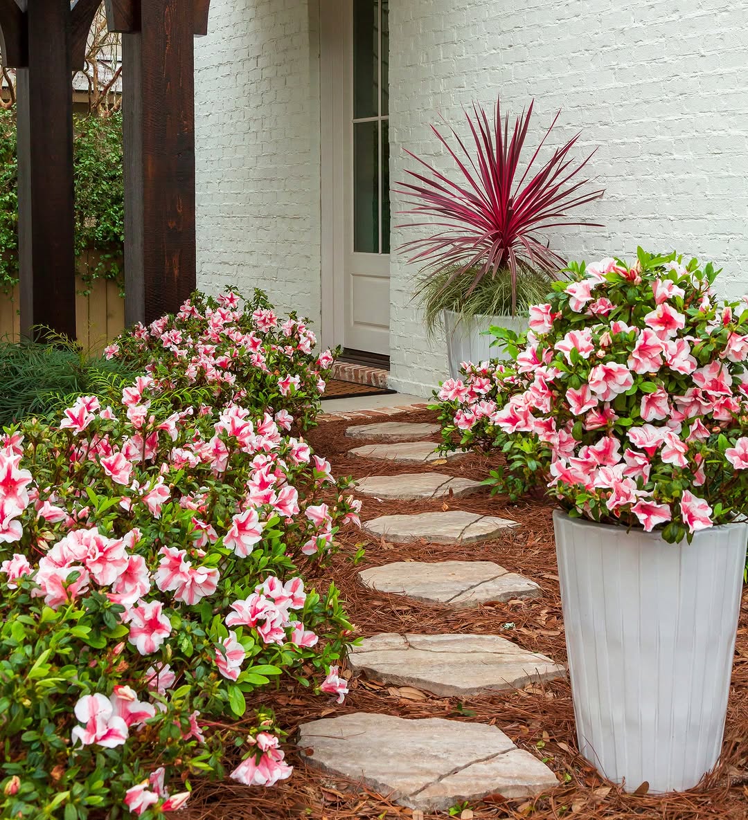 18 Best Shrubs for Front of House to Instantly Boost Curb Appeal – Image 13