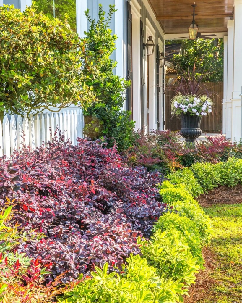 18 Best Shrubs for Front of House to Instantly Boost Curb Appeal – Image 35