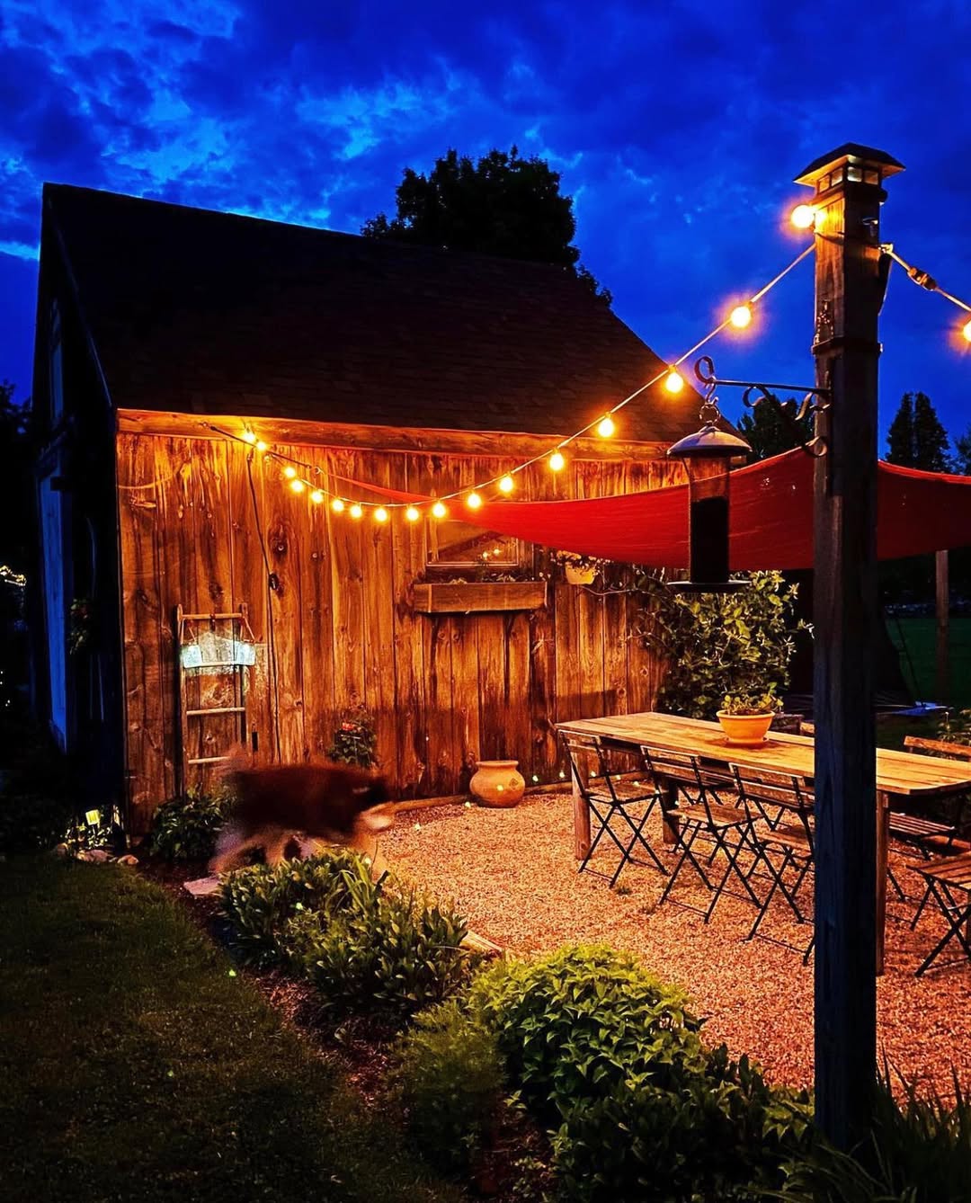 Backyard Patio String Lights Ideas