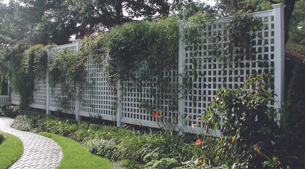 21 Cheap Backyard Privacy Ideas from Neighbors That Actually Work – Image 4