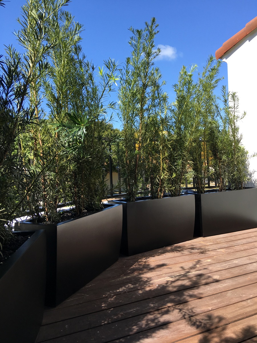 Tall Planters as Easy Backyard Privacy Ideas