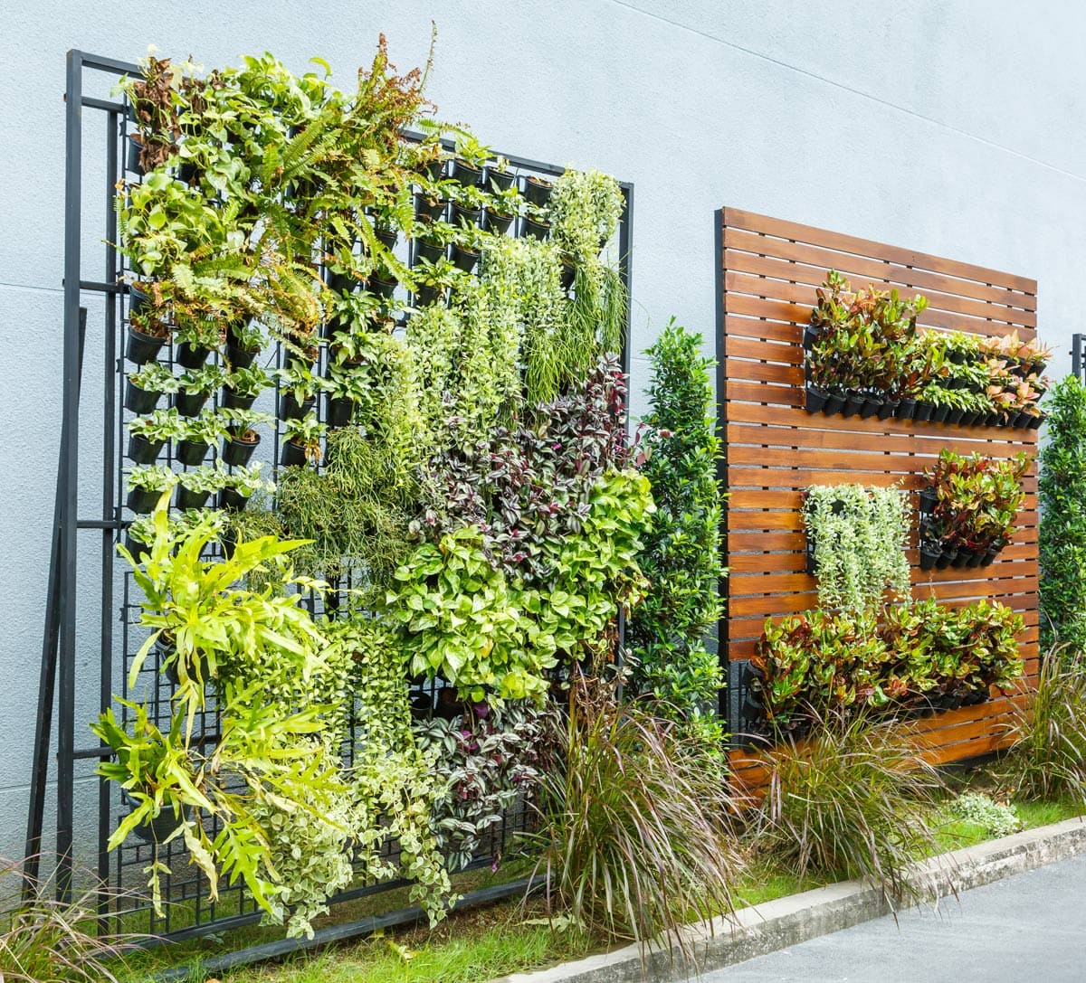 Vertical Gardens Privacy Landscaping Backyard Ideas