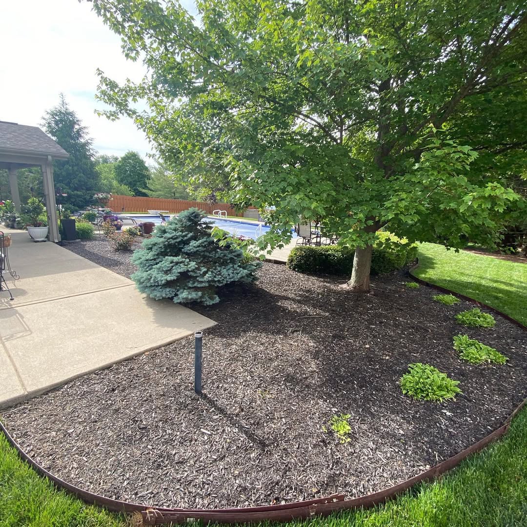 10 Creative and Cheap Ways To Cover Dirt In Backyard – Image 3