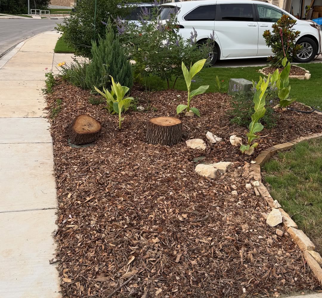 10 Creative and Cheap Ways To Cover Dirt In Backyard – Image 11