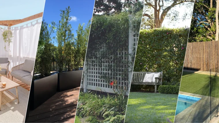 21 Cheap Backyard Privacy Ideas from Neighbors That Actually Work