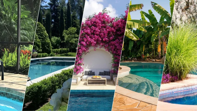 Stunning Plants Around the Pool for Every Backyard